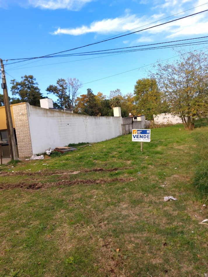 LOTE SOBRE AV. PRIMERA JUNTA