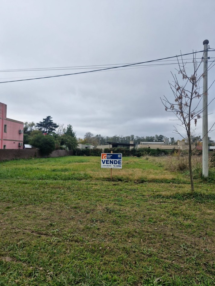 LOTE SOBRE AVENIDA ASFALTADA