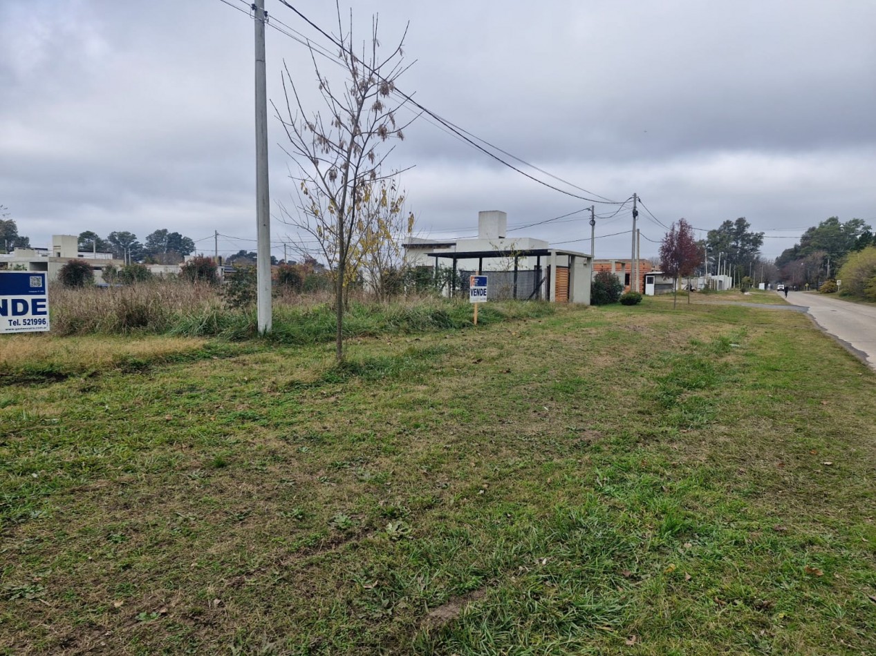 LOTE SOBRE ANTARTIDA ARGENTINA