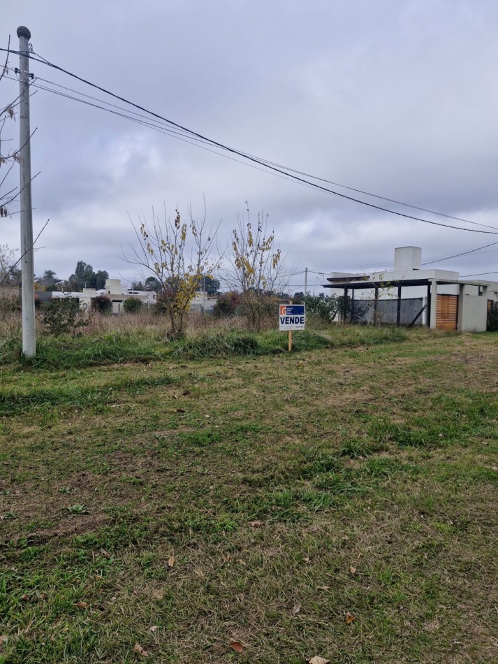 LOTE SOBRE ANTARTIDA ARGENTINA