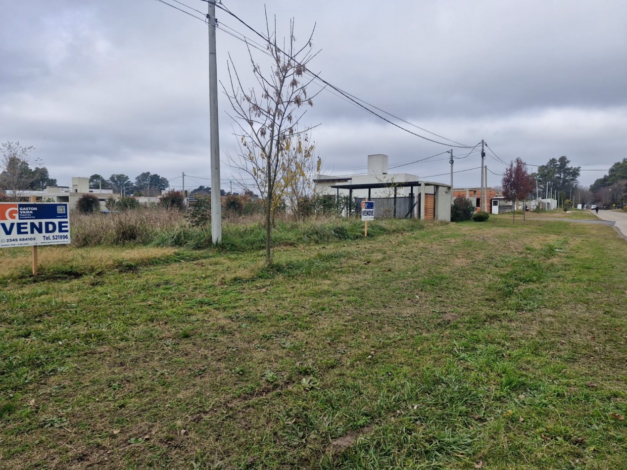 LOTE SOBRE ANTARTIDA ARGENTINA