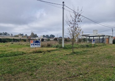 LOTE SOBRE AVENIDA ASFALTADA
