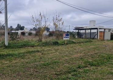 LOTE SOBRE ANTARTIDA ARGENTINA